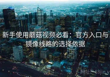 新手使用蘑菇视频必看：官方入口与镜像线路的选择依据