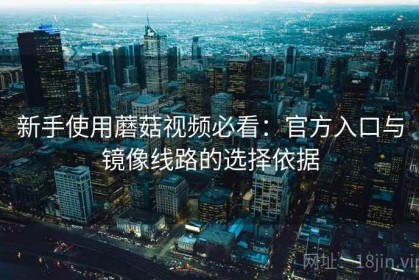 新手使用蘑菇视频必看：官方入口与镜像线路的选择依据
