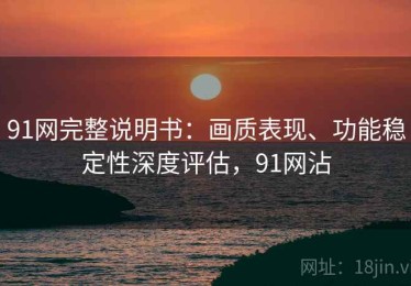 91网完整说明书：画质表现、功能稳定性深度评估，91网沾