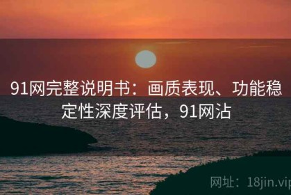 91网完整说明书：画质表现、功能稳定性深度评估，91网沾