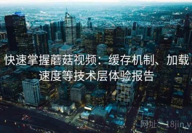 快速掌握蘑菇视频：缓存机制、加载速度等技术层体验报告