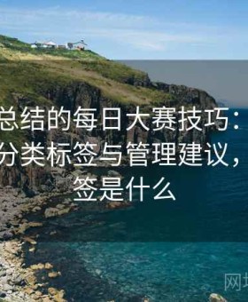 老用户总结的每日大赛技巧：收藏夹建立、分类标签与管理建议，收藏标签是什么