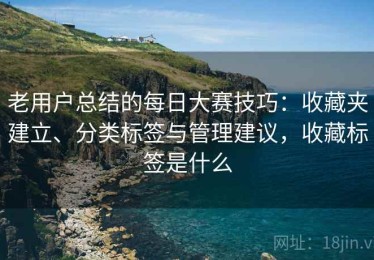 老用户总结的每日大赛技巧：收藏夹建立、分类标签与管理建议，收藏标签是什么