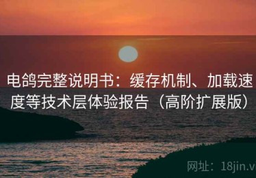 电鸽完整说明书：缓存机制、加载速度等技术层体验报告（高阶扩展版）