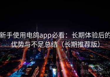 新手使用电鸽app必看：长期体验后的优势与不足总结（长期推荐版）