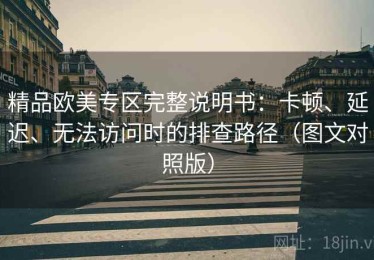 精品欧美专区完整说明书：卡顿、延迟、无法访问时的排查路径（图文对照版）
