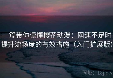 一篇带你读懂樱花动漫：网速不足时提升流畅度的有效措施（入门扩展版）