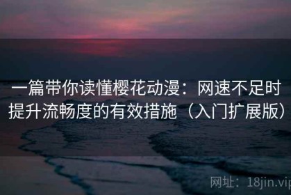 一篇带你读懂樱花动漫：网速不足时提升流畅度的有效措施（入门扩展版）