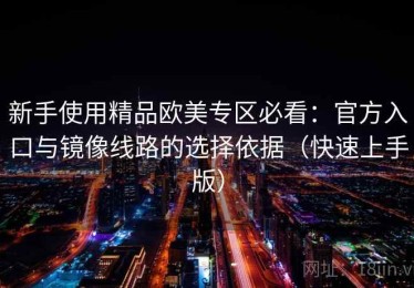 新手使用精品欧美专区必看：官方入口与镜像线路的选择依据（快速上手版）