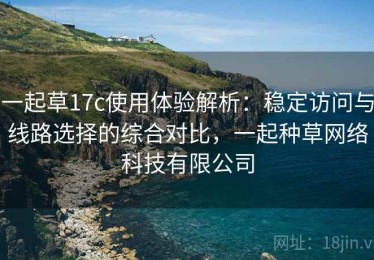 一起草17c使用体验解析：稳定访问与线路选择的综合对比，一起种草网络科技有限公司