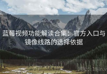 蓝莓视频功能解读合集：官方入口与镜像线路的选择依据