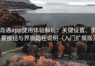 岛遇app使用体验解析：关键设置、重要按钮与界面路径说明（入门扩展版）