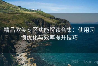 精品欧美专区功能解读合集：使用习惯优化与效率提升技巧