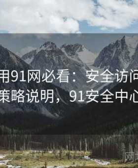 新手使用91网必看：安全访问模式与防误触策略说明，91安全中心防沉迷