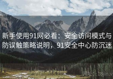 新手使用91网必看：安全访问模式与防误触策略说明，91安全中心防沉迷