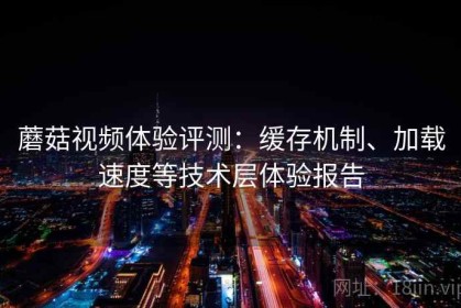 蘑菇视频体验评测：缓存机制、加载速度等技术层体验报告