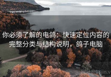 你必须了解的电鸽：快速定位内容的完整分类与结构说明，鸽子电脑