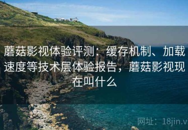 蘑菇影视体验评测：缓存机制、加载速度等技术层体验报告，蘑菇影视现在叫什么