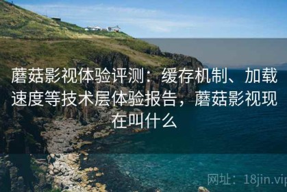 蘑菇影视体验评测：缓存机制、加载速度等技术层体验报告，蘑菇影视现在叫什么