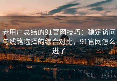 老用户总结的91官网技巧：稳定访问与线路选择的综合对比，91官网怎么进了