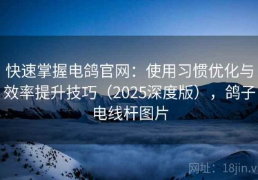 快速掌握电鸽官网：使用习惯优化与效率提升技巧（2025深度版），鸽子电线杆图片