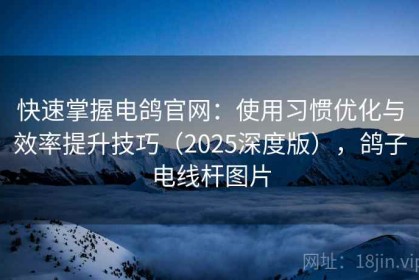 快速掌握电鸽官网：使用习惯优化与效率提升技巧（2025深度版），鸽子电线杆图片