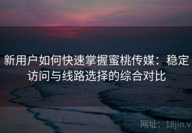新用户如何快速掌握蜜桃传媒：稳定访问与线路选择的综合对比