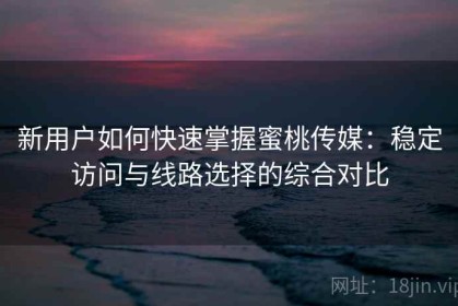 新用户如何快速掌握蜜桃传媒：稳定访问与线路选择的综合对比