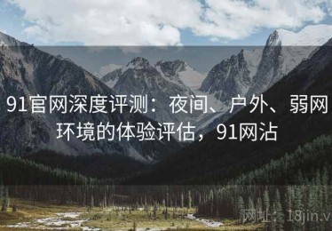 91官网深度评测：夜间、户外、弱网环境的体验评估，91网沾