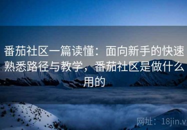 番茄社区一篇读懂：面向新手的快速熟悉路径与教学，番茄社区是做什么用的