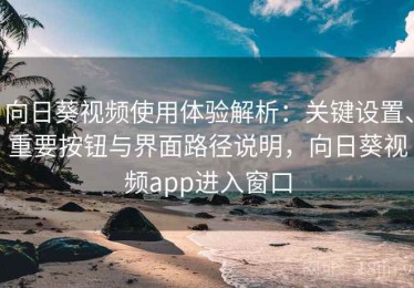 向日葵视频使用体验解析：关键设置、重要按钮与界面路径说明，向日葵视频app进入窗口