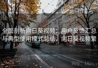 全面剖析向日葵视频：用户反馈汇总与典型使用模式总结，向日葵视频繁