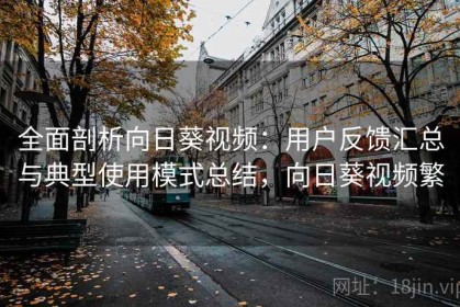 全面剖析向日葵视频：用户反馈汇总与典型使用模式总结，向日葵视频繁