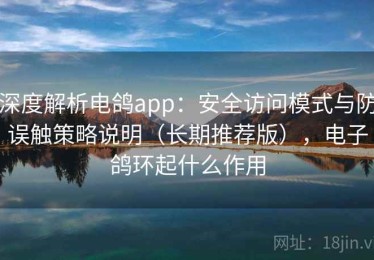 深度解析电鸽app：安全访问模式与防误触策略说明（长期推荐版），电子鸽环起什么作用