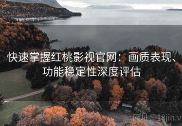 快速掌握红桃影视官网：画质表现、功能稳定性深度评估