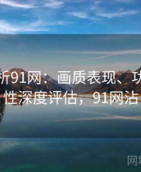深度解析91网：画质表现、功能稳定性深度评估，91网沾