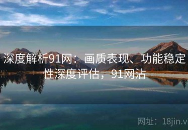 深度解析91网：画质表现、功能稳定性深度评估，91网沾