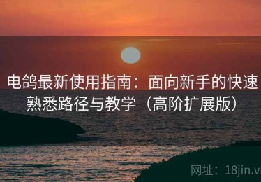 电鸽最新使用指南：面向新手的快速熟悉路径与教学（高阶扩展版）