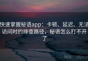 快速掌握秘语app：卡顿、延迟、无法访问时的排查路径，秘语怎么打不开了