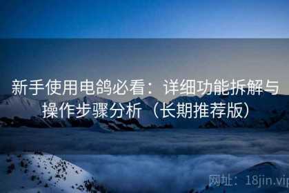 新手使用电鸽必看：详细功能拆解与操作步骤分析（长期推荐版）