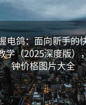 快速掌握电鸽：面向新手的快速熟悉路径与教学（2025深度版），电子鸽钟价格图片大全