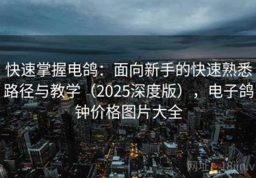 快速掌握电鸽：面向新手的快速熟悉路径与教学（2025深度版），电子鸽钟价格图片大全
