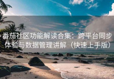 番茄社区功能解读合集：跨平台同步体验与数据管理讲解（快速上手版）