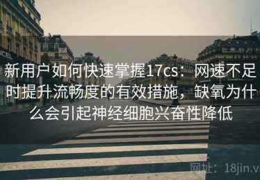 新用户如何快速掌握17cs：网速不足时提升流畅度的有效措施，缺氧为什么会引起神经细胞兴奋性降低