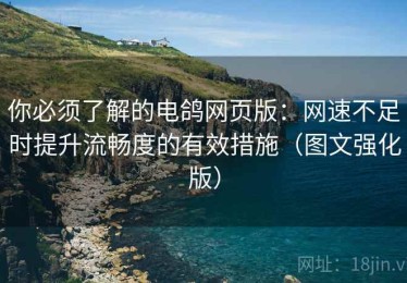 你必须了解的电鸽网页版：网速不足时提升流畅度的有效措施（图文强化版）
