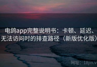 电鸽app完整说明书：卡顿、延迟、无法访问时的排查路径（新版优化版）