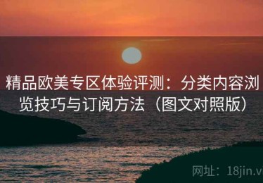 精品欧美专区体验评测：分类内容浏览技巧与订阅方法（图文对照版）