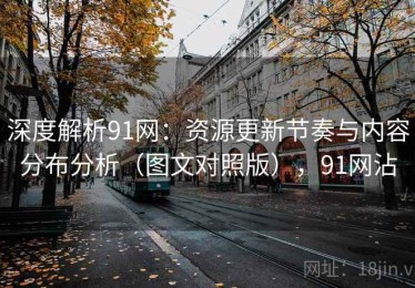 深度解析91网：资源更新节奏与内容分布分析（图文对照版），91网沾