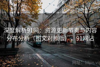 深度解析91网：资源更新节奏与内容分布分析（图文对照版），91网沾