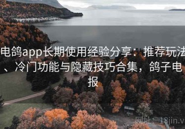 电鸽app长期使用经验分享：推荐玩法、冷门功能与隐藏技巧合集，鸽子电报